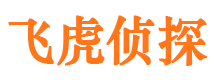 宽城市侦探调查公司